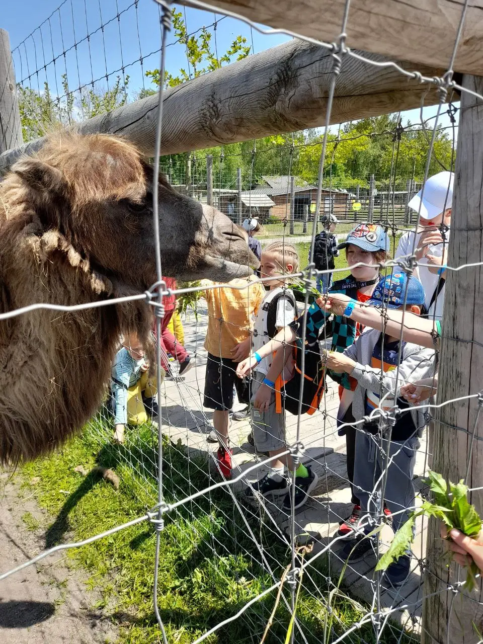 Про формат 2